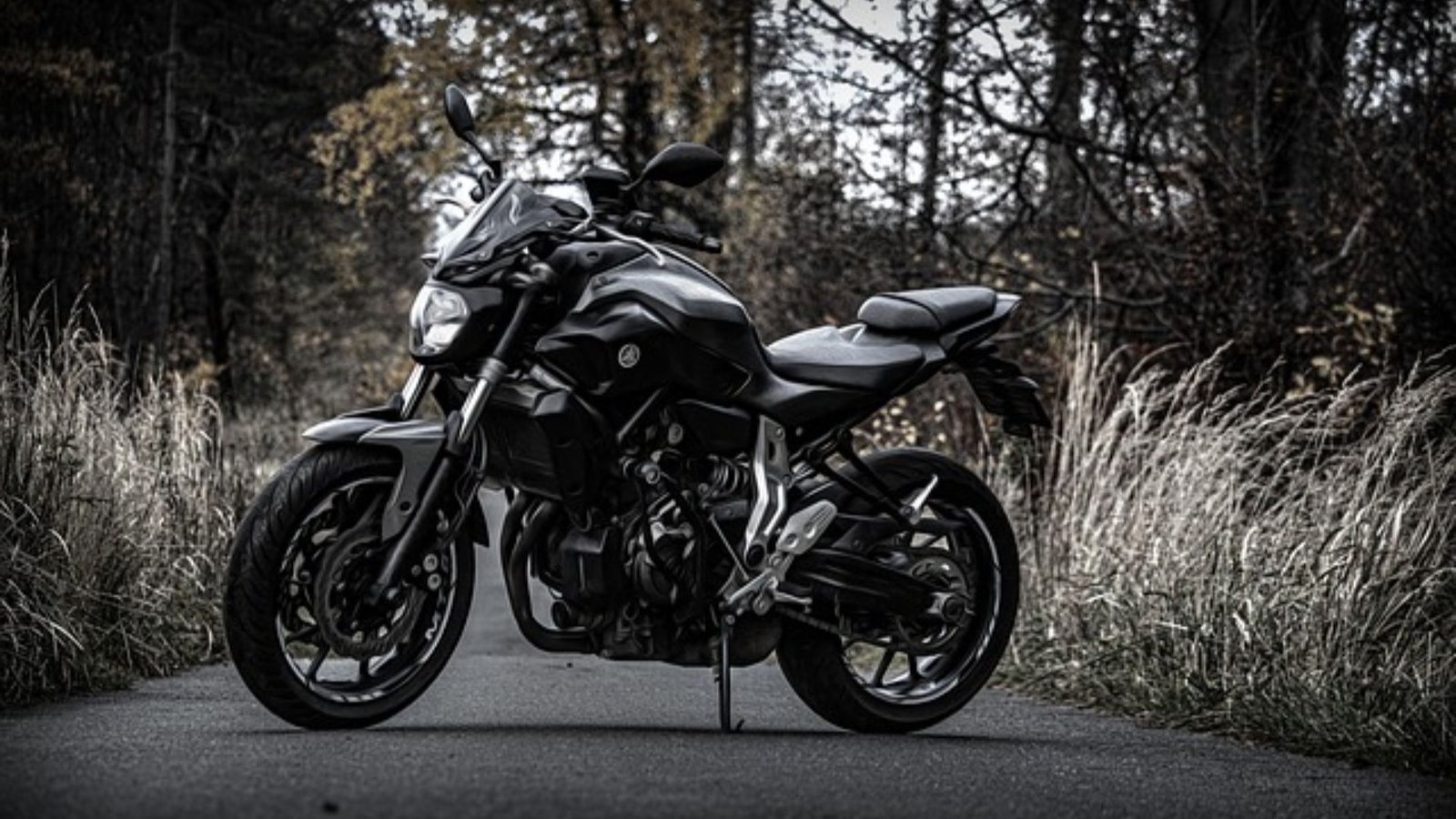 Sports bike vs commuter bike in Yamaha explained for comfort, mileage and performance. Visit Alagendran Autos Madurai.
